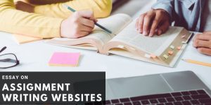 Read more about the article Essay on Assignment Writing websites